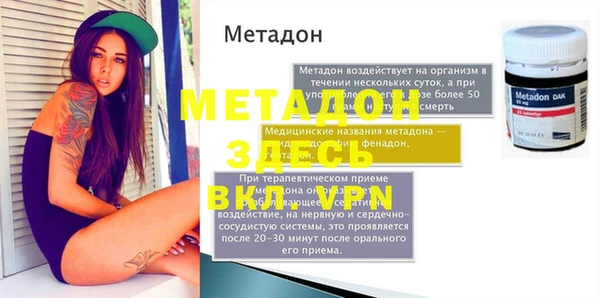 индика Арсеньев