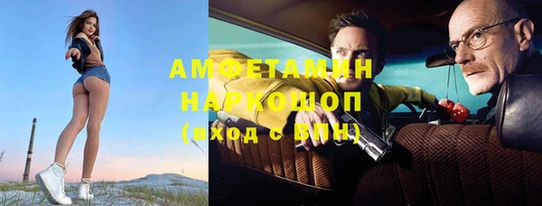 индика Арсеньев