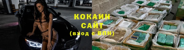 прущие крисы Армянск
