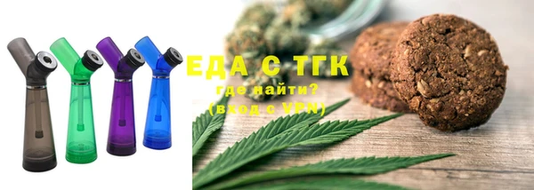 индика Арсеньев
