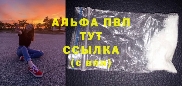 индика Арсеньев