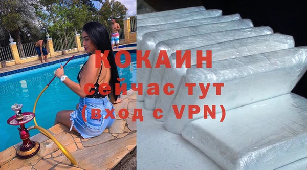 индика Арсеньев