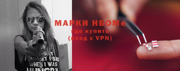индика Арсеньев