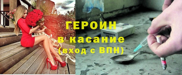 индика Арсеньев