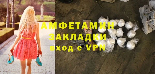 индика Арсеньев
