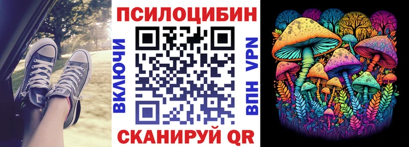 Псилоцибиновые грибы Psilocybine cubensis  купить  цена  Приволжск 