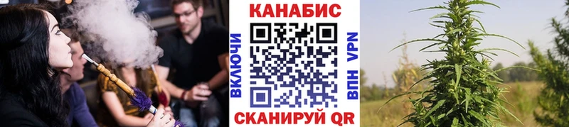 МАРИХУАНА ГИДРОПОН сколько стоит Приволжск